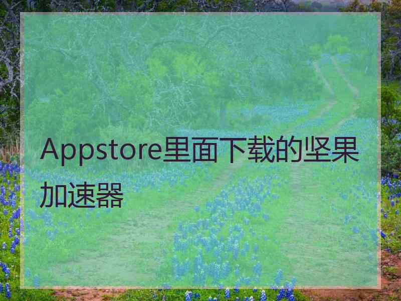 Appstore里面下载的坚果加速器