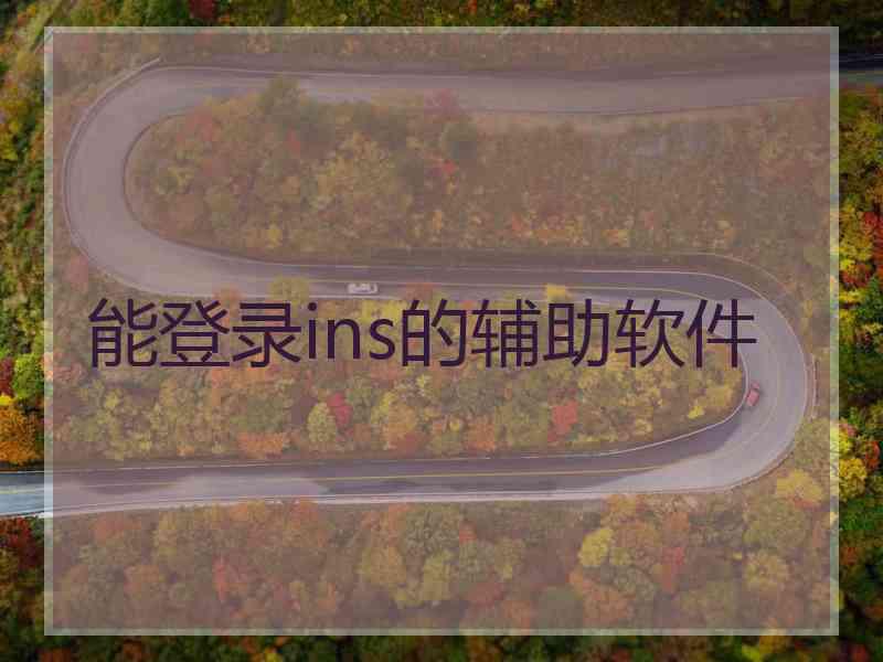 能登录ins的辅助软件