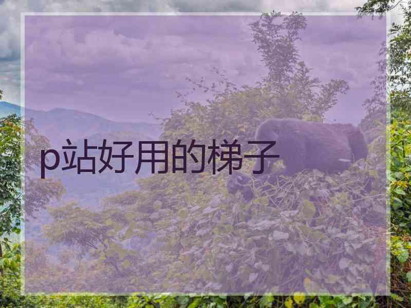 p站好用的梯子