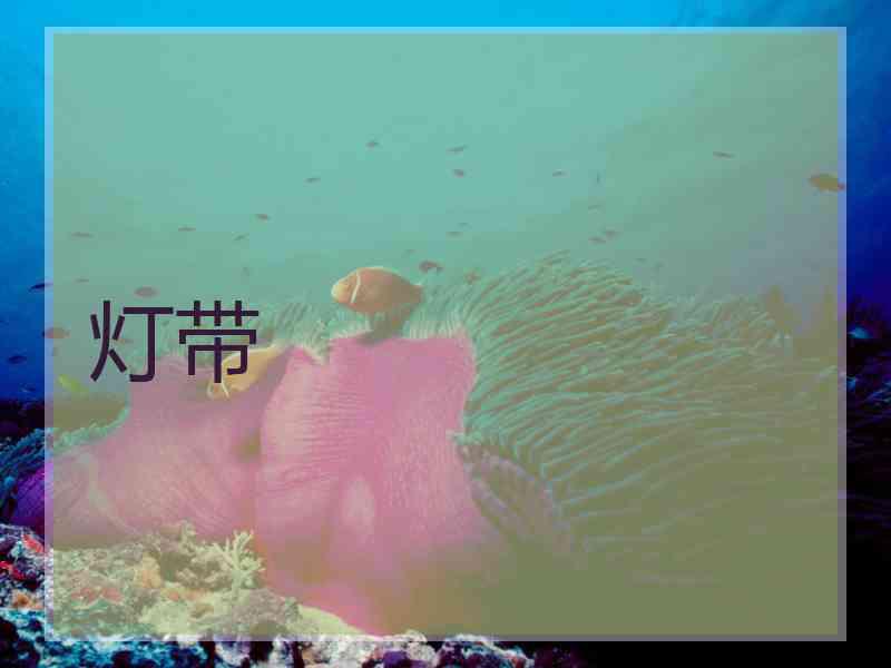 灯带
