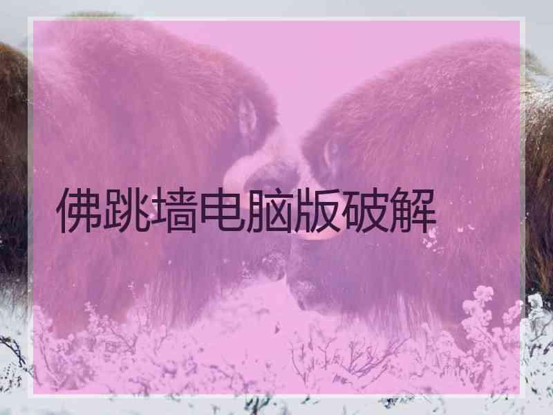 佛跳墙电脑版破解