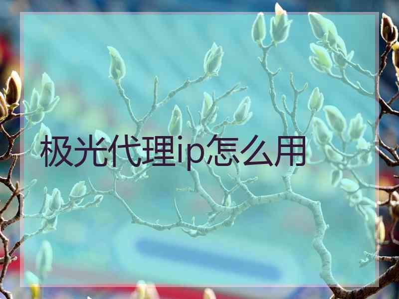 极光代理ip怎么用