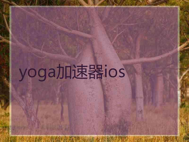 yoga加速器ios