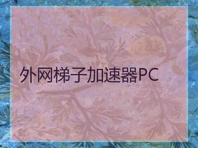 外网梯子加速器PC
