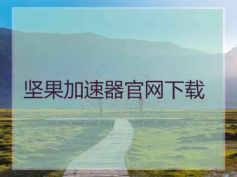 坚果加速器官网下载