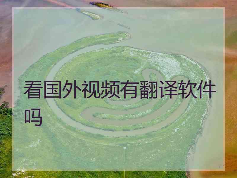 看国外视频有翻译软件吗
