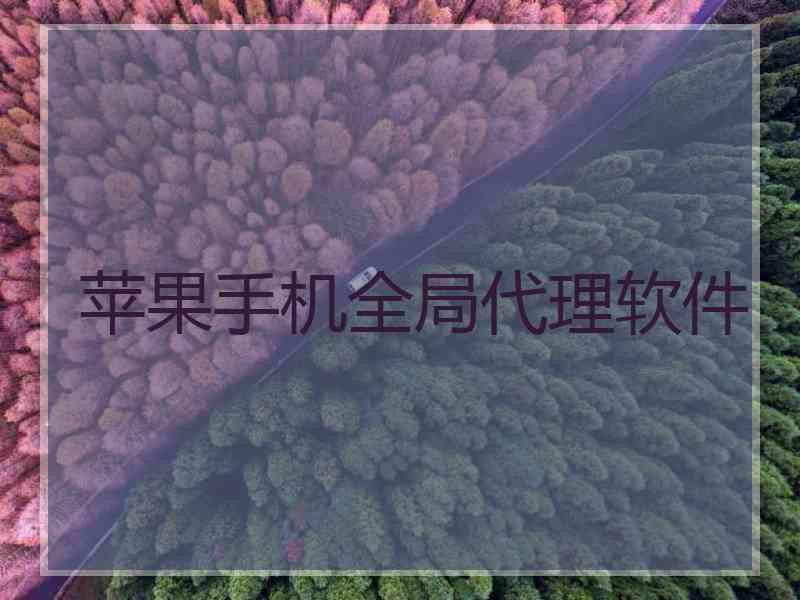 苹果手机全局代理软件