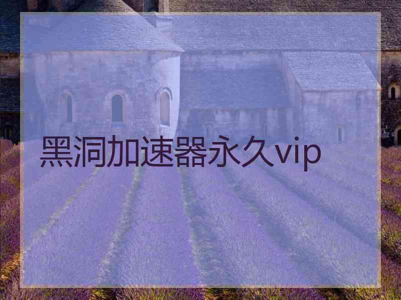 黑洞加速器永久vip