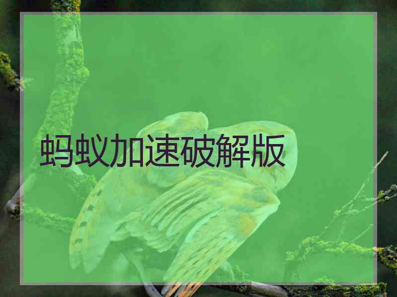 蚂蚁加速破解版