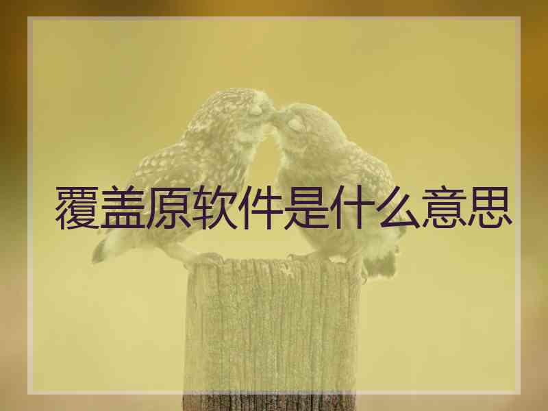 覆盖原软件是什么意思