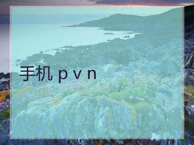 手机 p v n