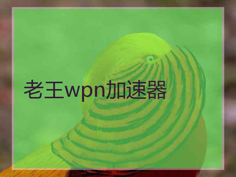 老王wpn加速器