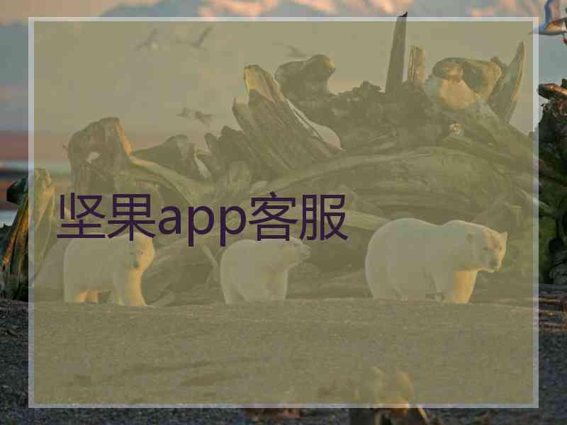 坚果app客服