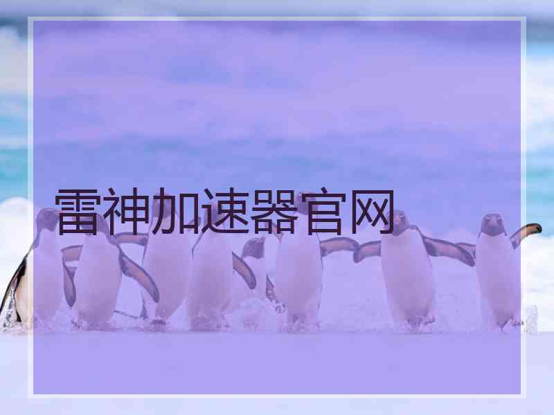 雷神加速器官网