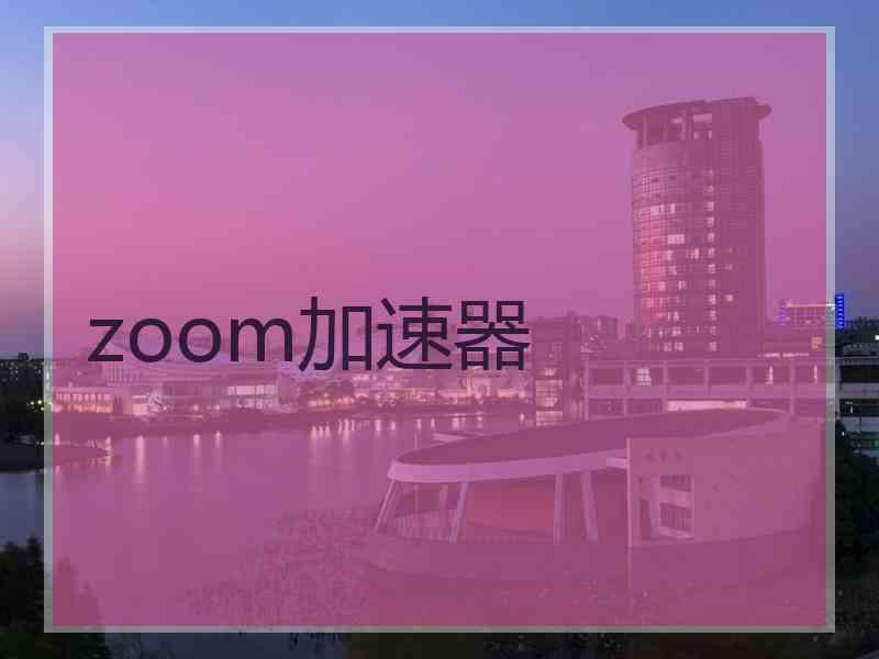 zoom加速器