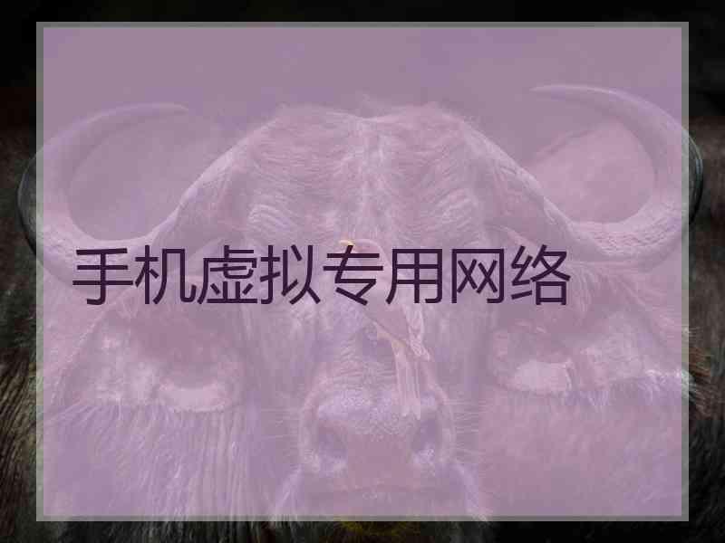 手机虚拟专用网络
