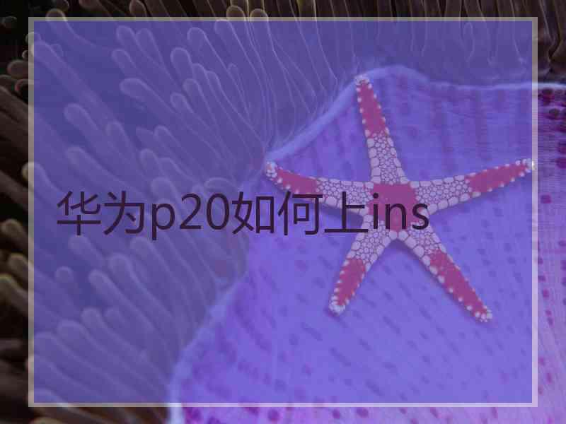 华为p20如何上ins