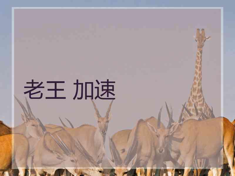 老王 加速