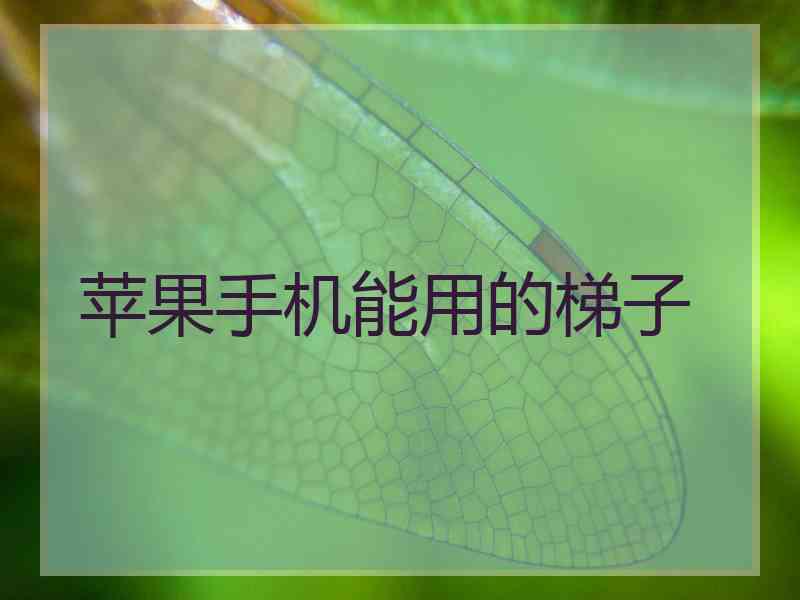 苹果手机能用的梯子
