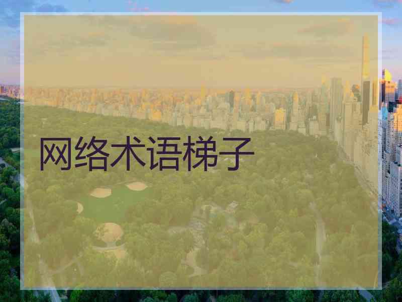 网络术语梯子