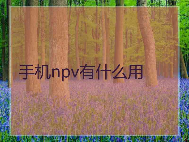 手机npv有什么用