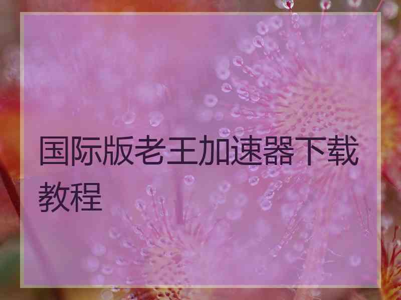 国际版老王加速器下载教程