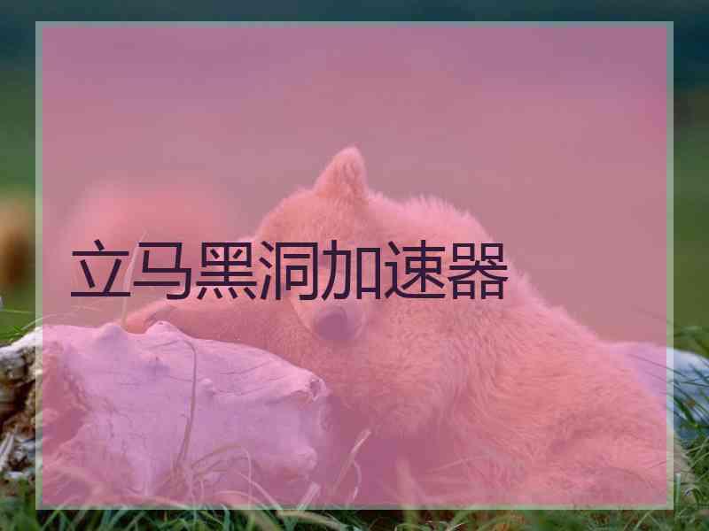 立马黑洞加速器