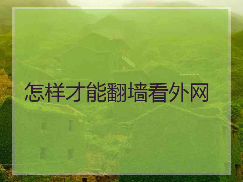 怎样才能翻墙看外网