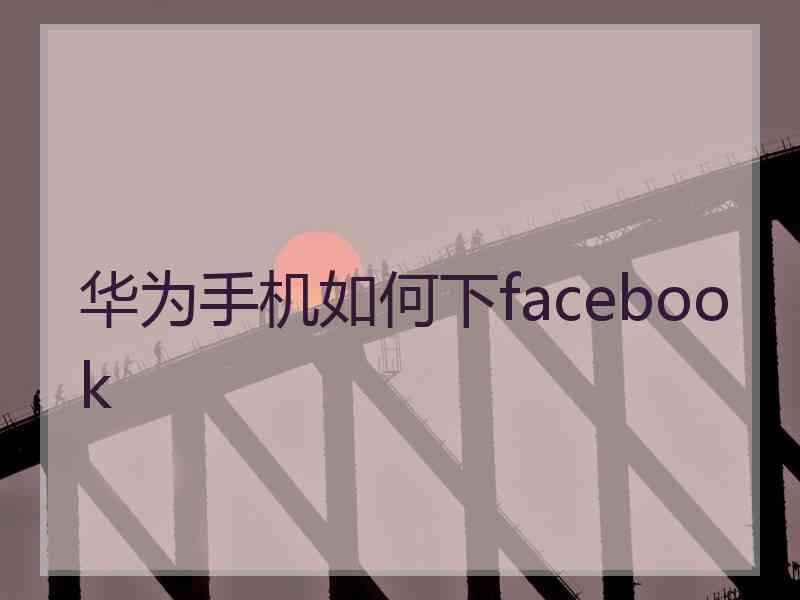 华为手机如何下facebook