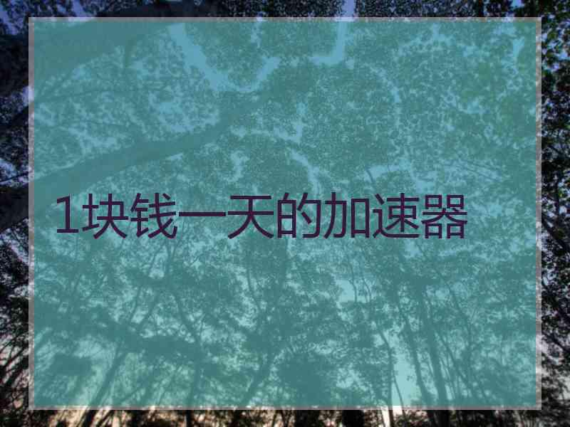 1块钱一天的加速器