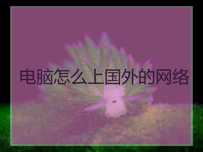 电脑怎么上国外的网络