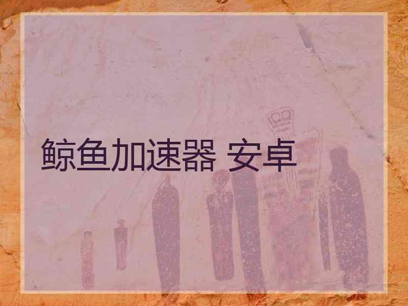 鲸鱼加速器 安卓