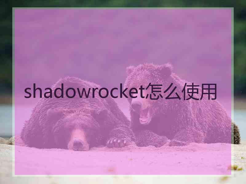 shadowrocket怎么使用