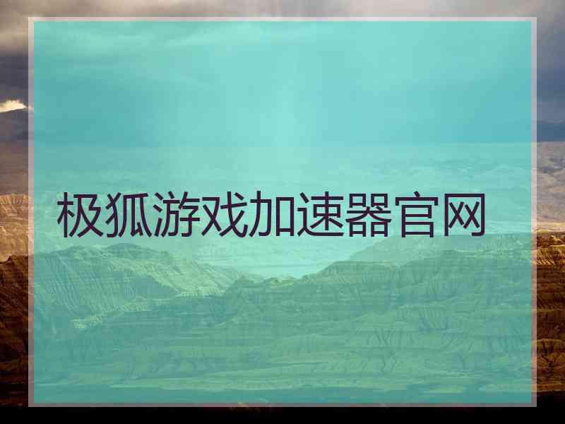 极狐游戏加速器官网