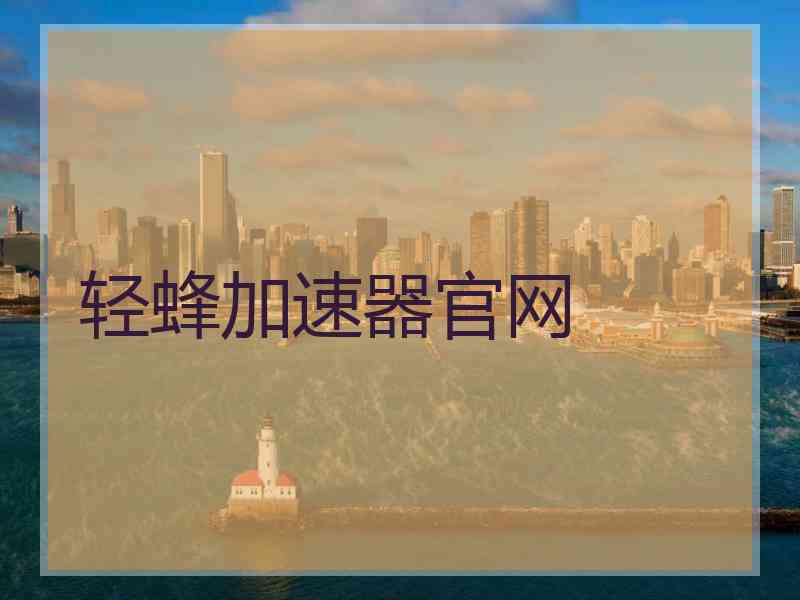 轻蜂加速器官网