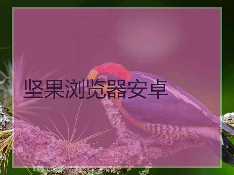 坚果浏览器安卓
