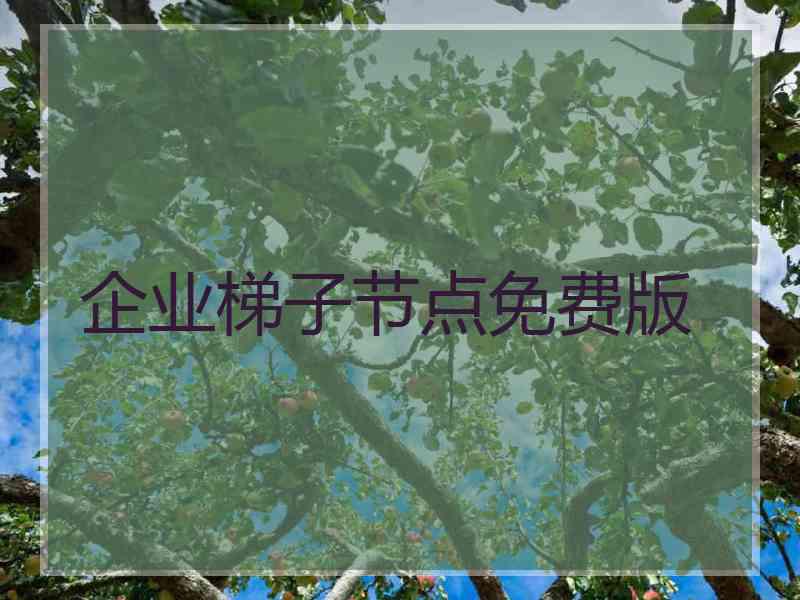 企业梯子节点免费版