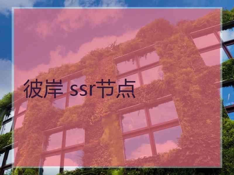 彼岸 ssr节点