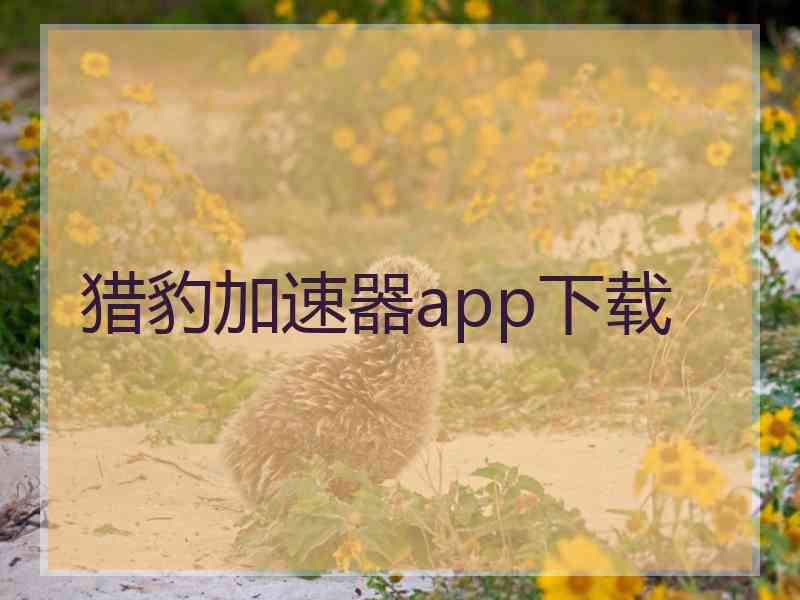 猎豹加速器app下载