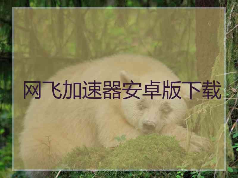 网飞加速器安卓版下载