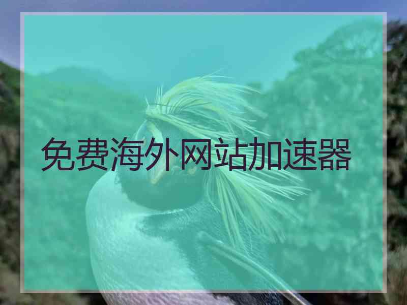 免费海外网站加速器