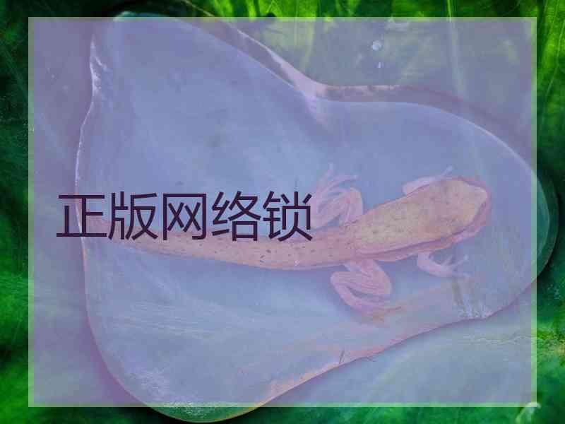 正版网络锁