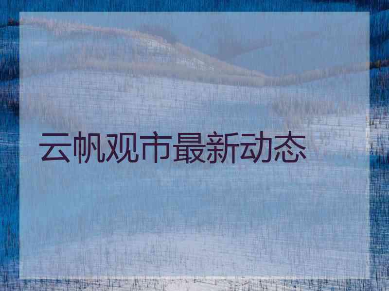 云帆观市最新动态