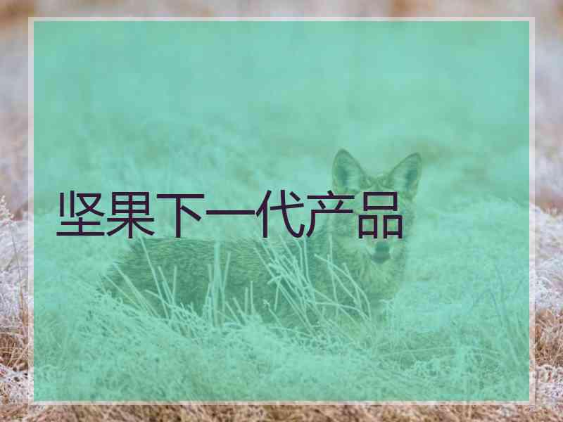 坚果下一代产品