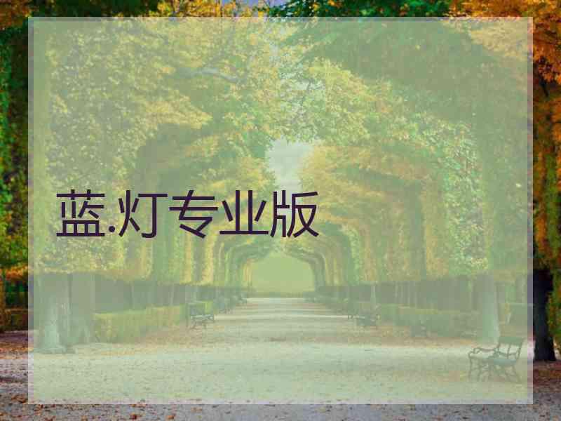 蓝.灯专业版