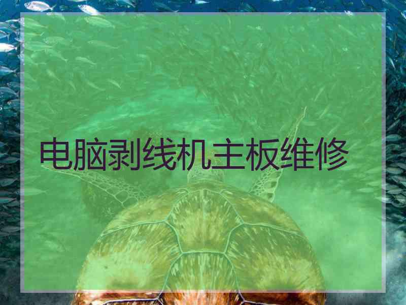 电脑剥线机主板维修
