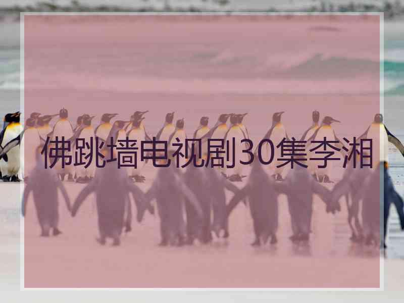 佛跳墙电视剧30集李湘