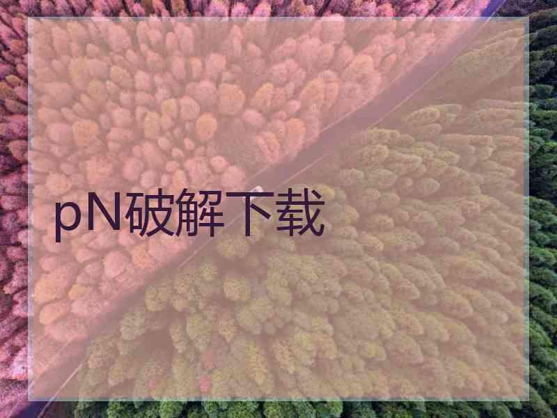 pN破解下载