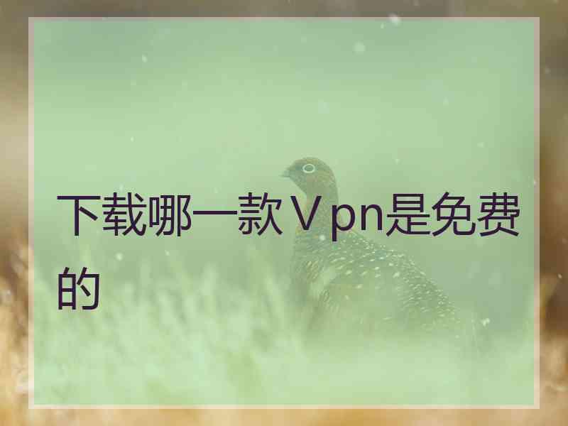 下载哪一款Ⅴpn是免费的