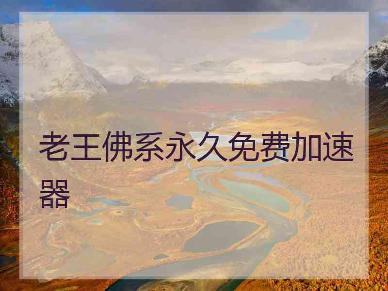 老王佛系永久免费加速器